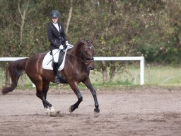 IMG_7935_web